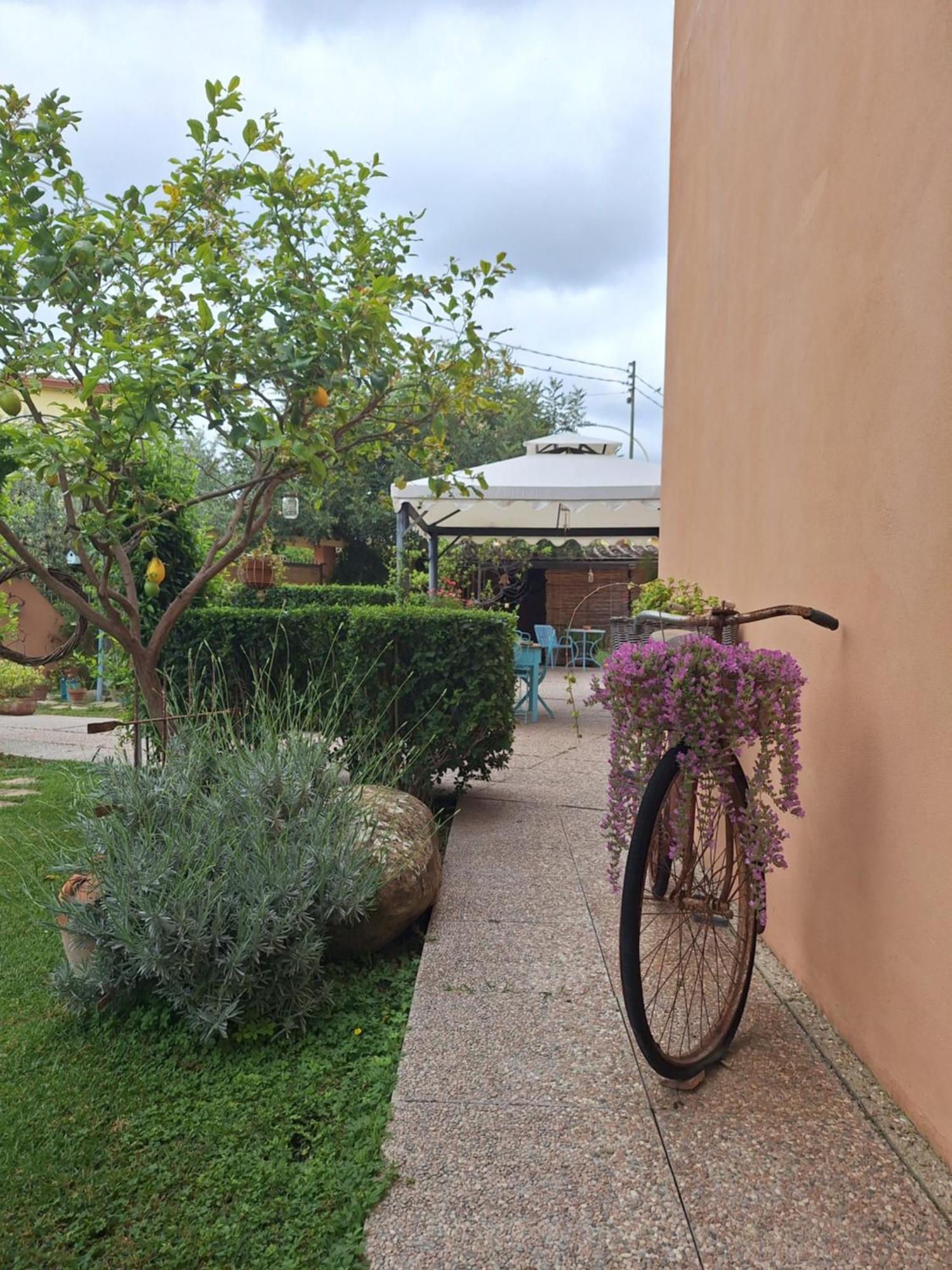B&B Casa Piras Iun3880 Barùmini Εξωτερικό φωτογραφία